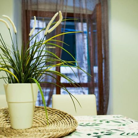 Apartman Flower Шибеник Екстер'єр фото