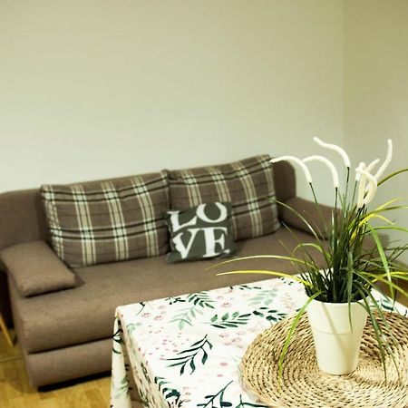 Apartman Flower Шибеник Екстер'єр фото