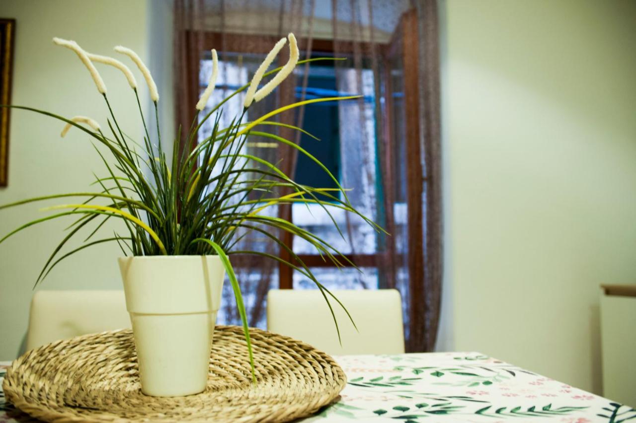 Apartman Flower Шибеник Екстер'єр фото
