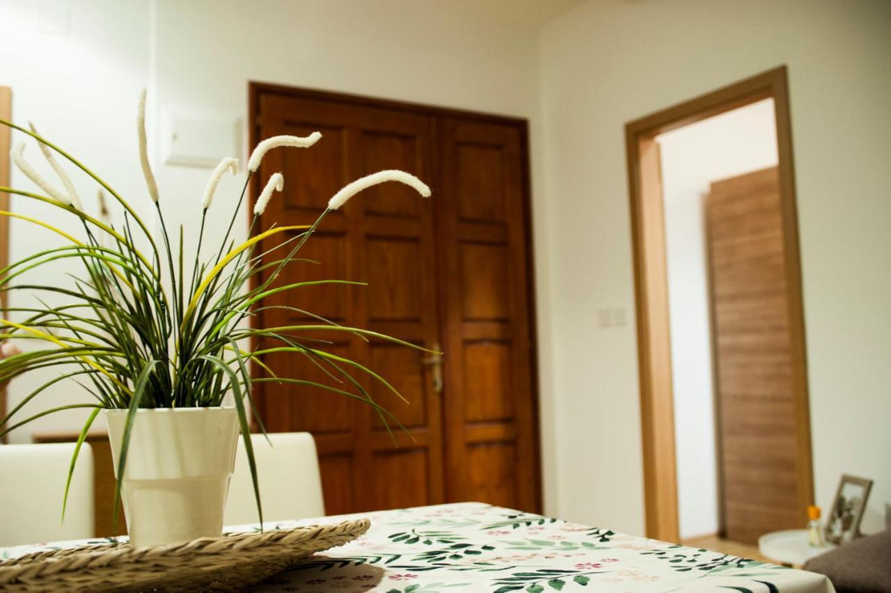 Apartman Flower Шибеник Екстер'єр фото